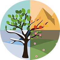 naturopathe l'essentiel