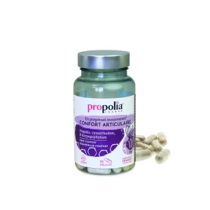 PROP CONFORT ARTICULAIRE Cartilage raie Prêle Cynorrhodon Harpagophytum & Propolis